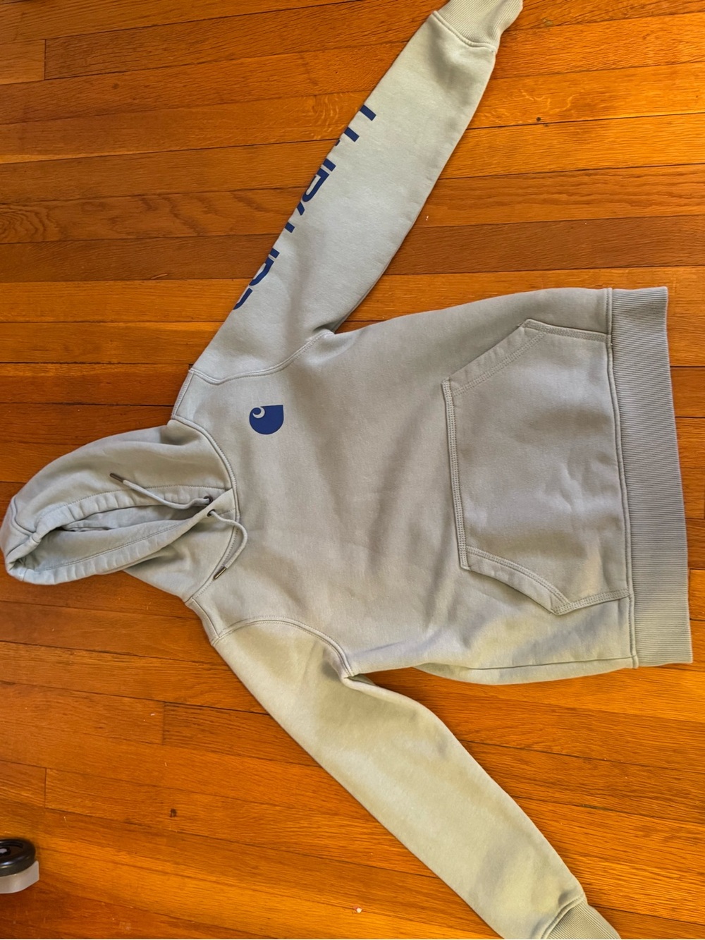 Carhartt Light Gray Pullover Hoodie with Printed Interior Label